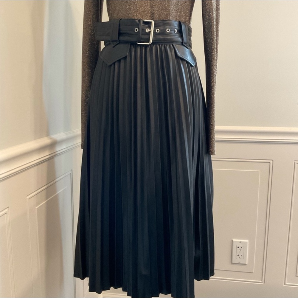 Express Black Pleated A-Line Skirt